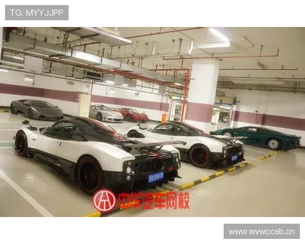 韦少又买豪车？光车库的钱普通人存一辈子都没影儿